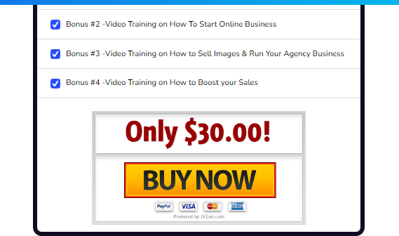 Ai Pixel Perfect Review