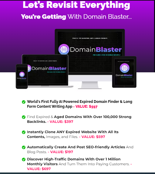 Domain Blaster Review