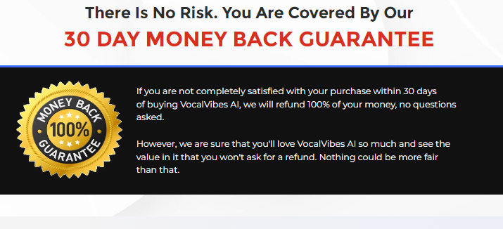 Vocal Vibes AI Review