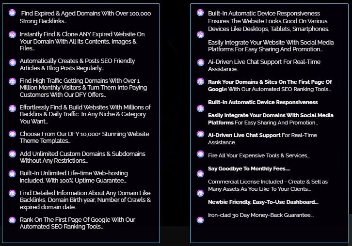 Domain Blaster Review