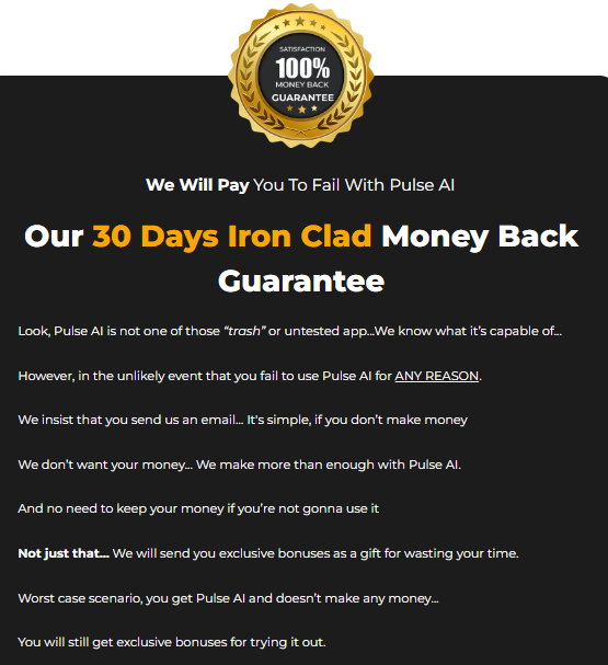 Pulse AI Review