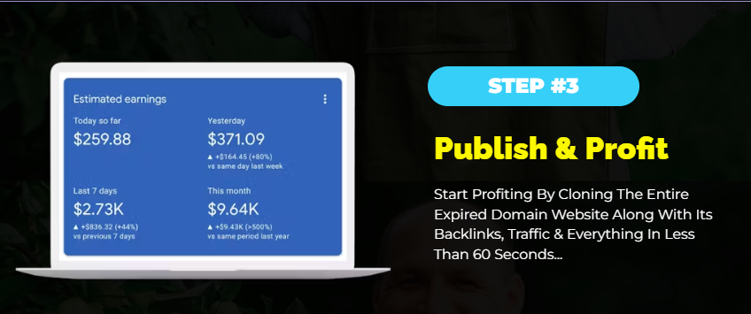 Domain Blaster Review