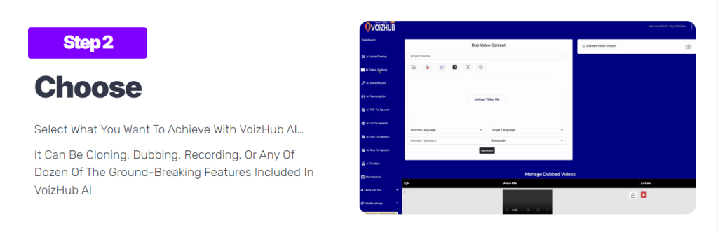 VoizHub AI Review