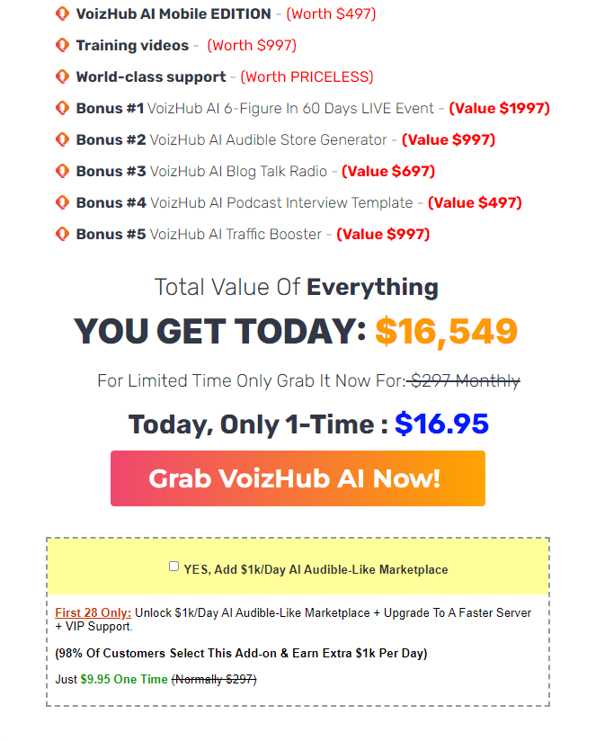 VoizHub AI Review