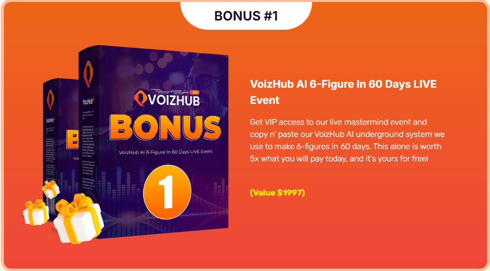 VoizHub AI Review
