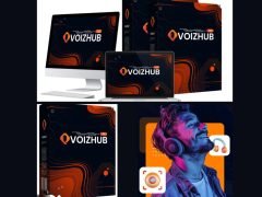 VoizHub AI Review