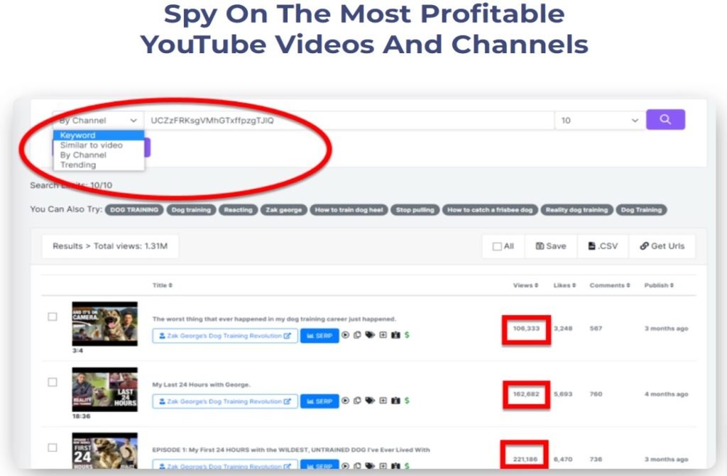 TubeTargeter AI Review