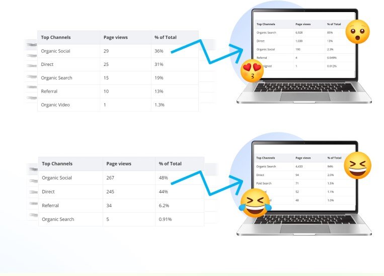 RankNinja Best Review
