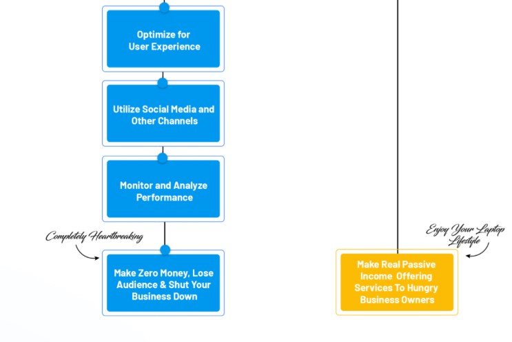 RankNinja Best Review