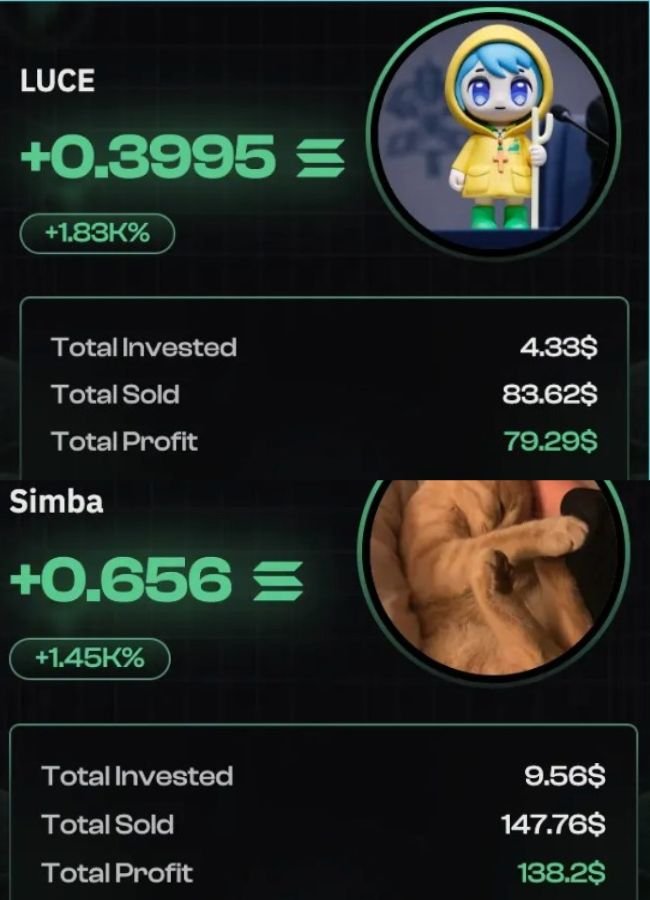 MemeCoins Cracked Review