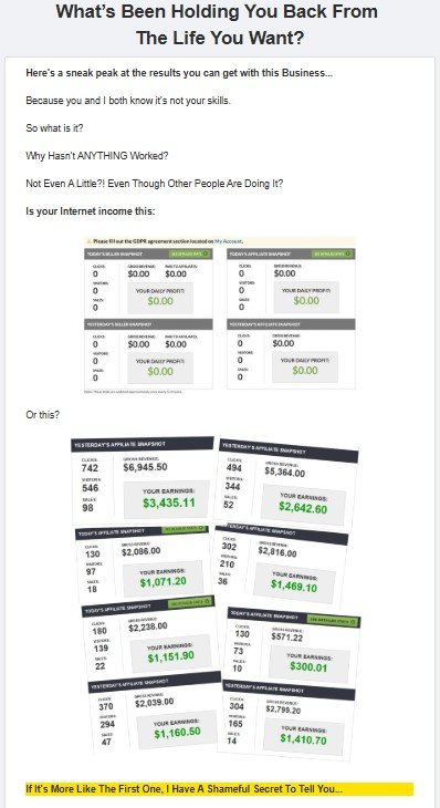 Partner & Profit Review