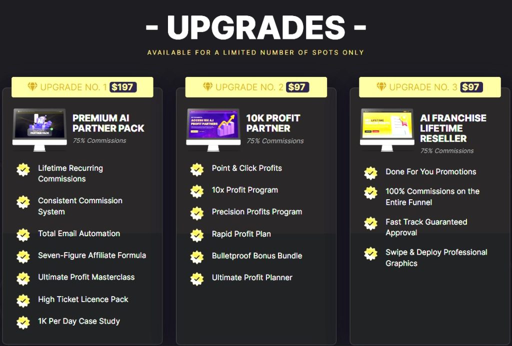 AI Franchise Review 2025: Can This $9.95 AI Business Make You Rich? 13 AI Franchise Review 2025