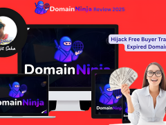 Domain Ninja Review 2025