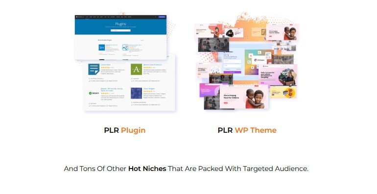 PLR Hub Review 2025