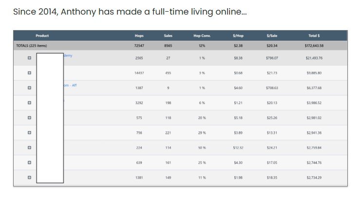 1-Page Profit System Review