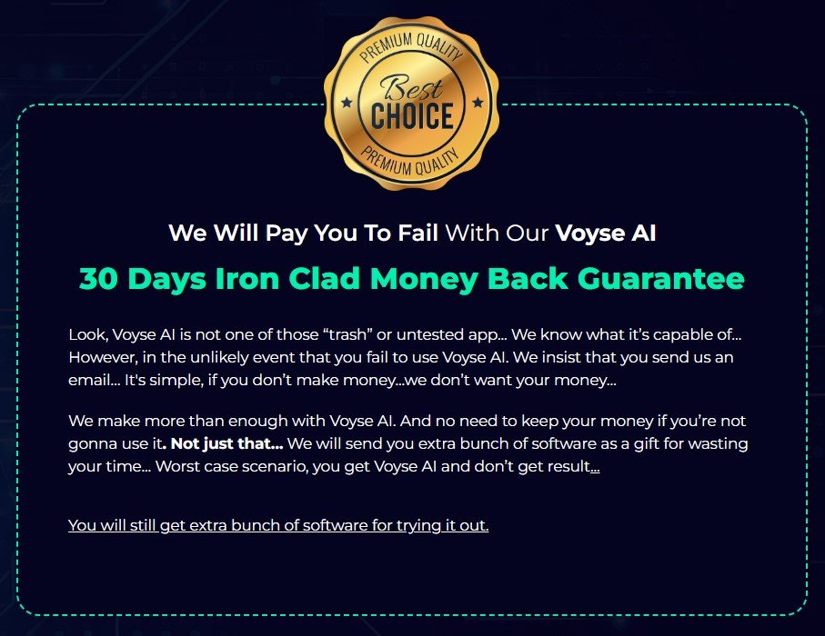 Voyse AI Review 2025