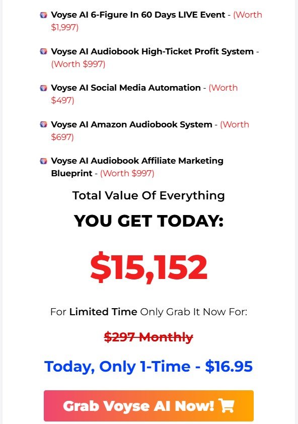 Voyse AI Review 2025