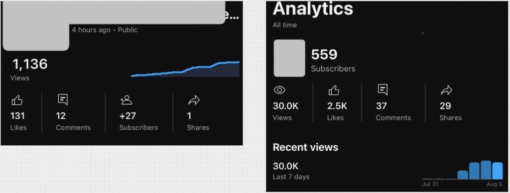 Invisible Traffic System Review