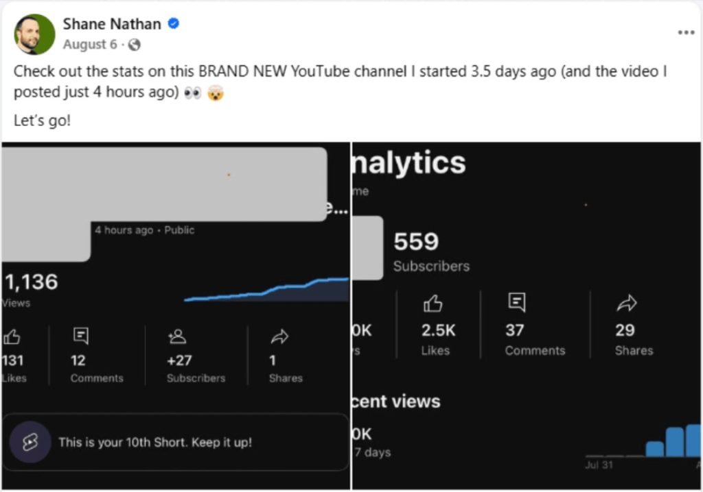 Invisible Traffic System Review