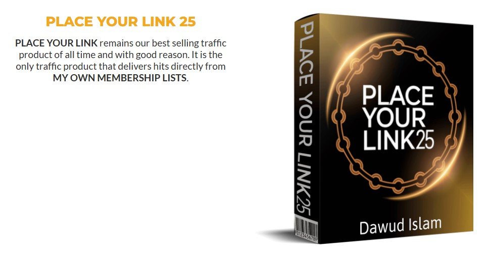 One Dollar New Year Traffic Review