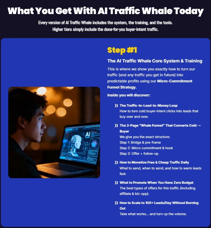 AI Traffic Whale Review