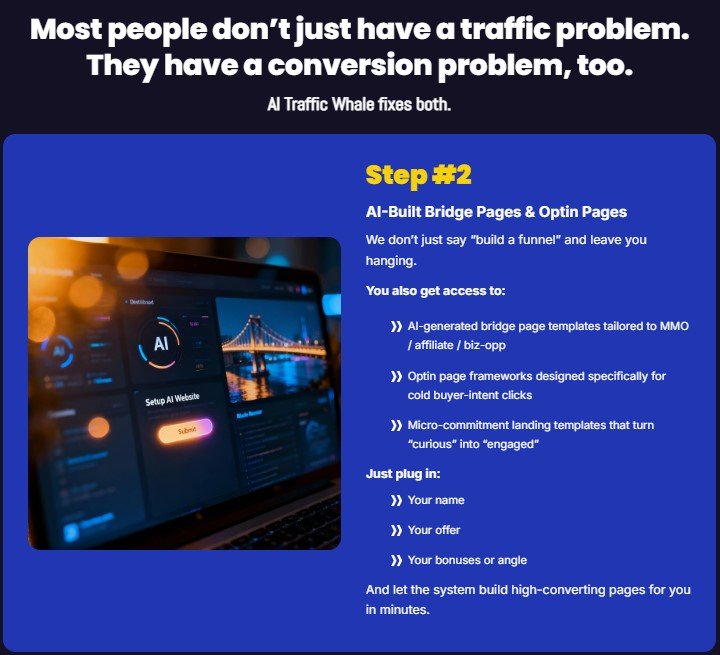 AI Traffic Whale Review