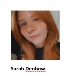 The Simple Online Profit Plan Review