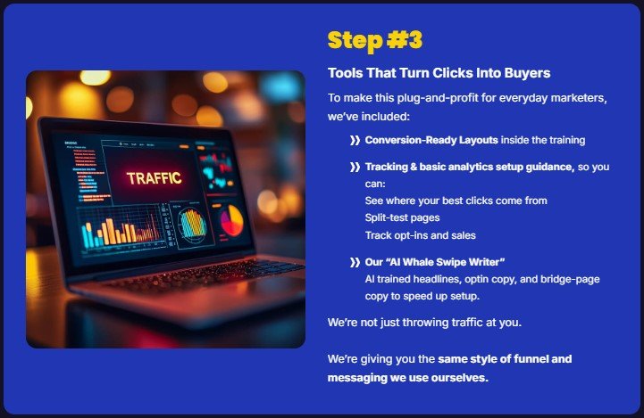 AI Traffic Whale Review