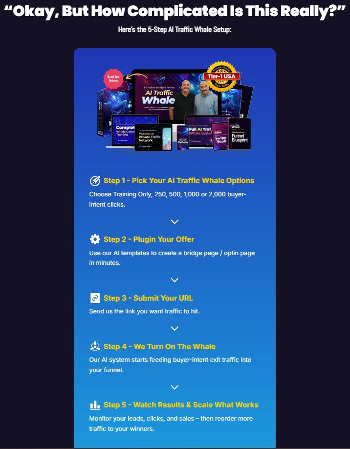 AI Traffic Whale Review