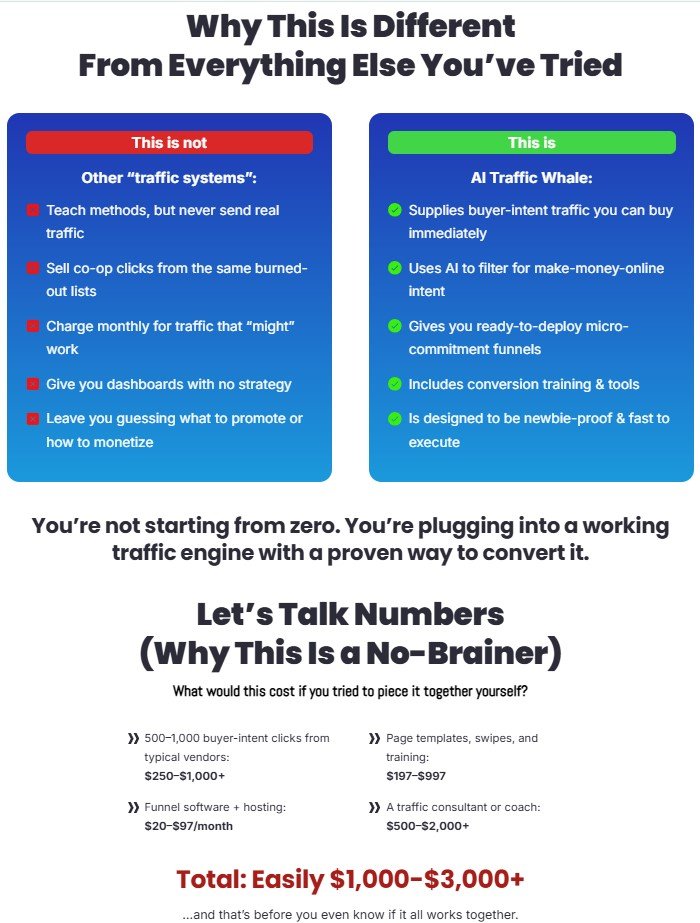 AI Traffic Whale Review