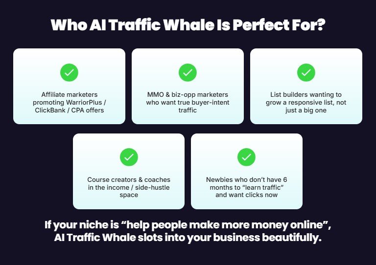 AI Traffic Whale Review