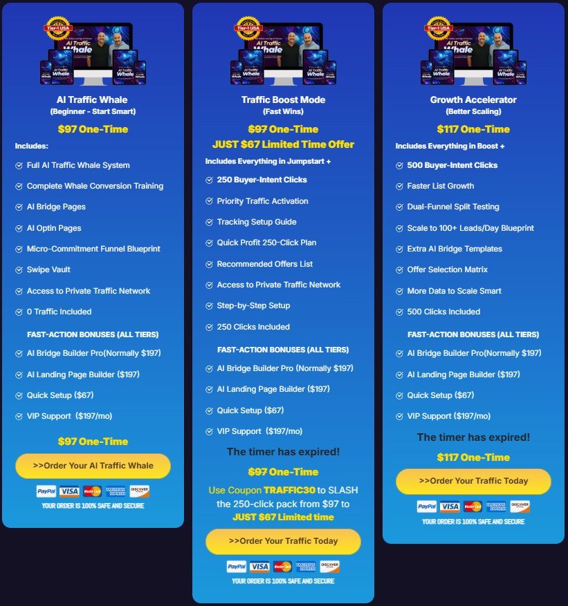 AI Traffic Whale Review