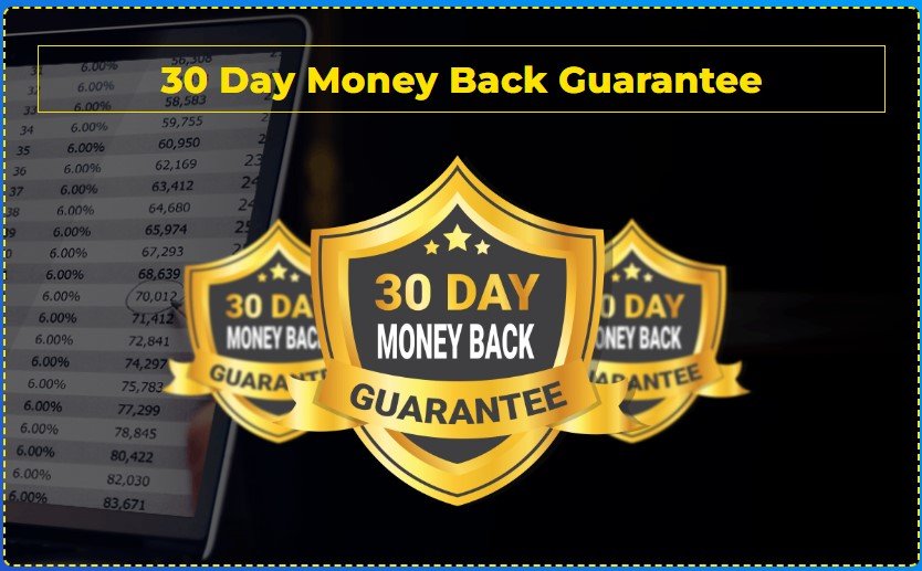 One Dollar New Year Traffic Review