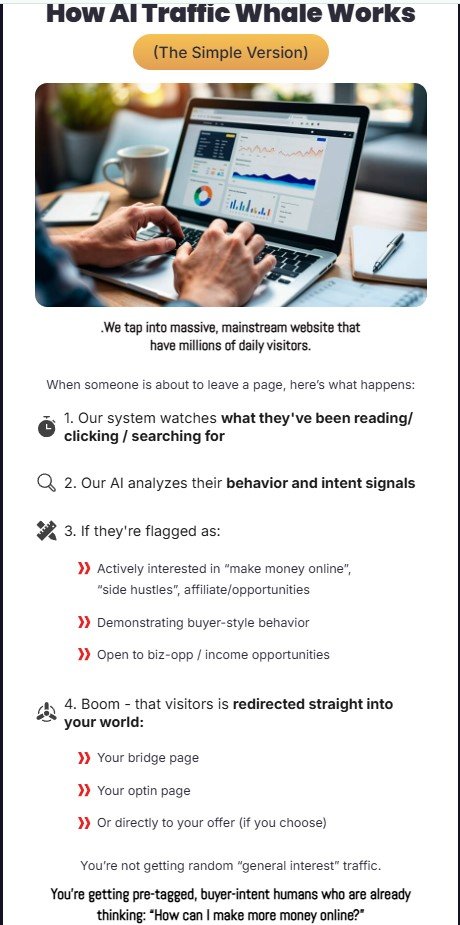 AI Traffic Whale Review