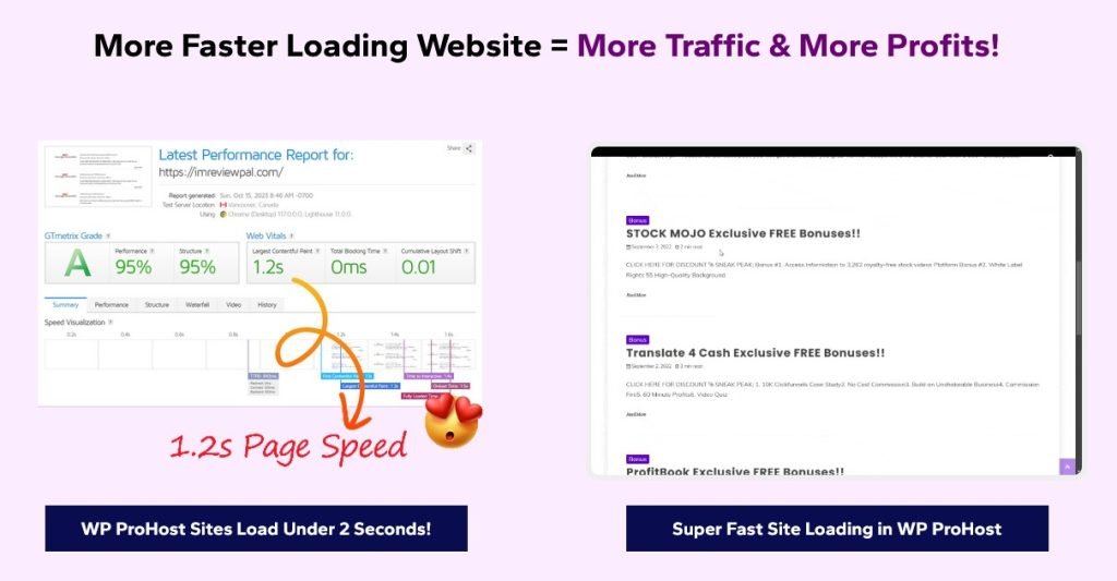 WP ProHost Review 2026