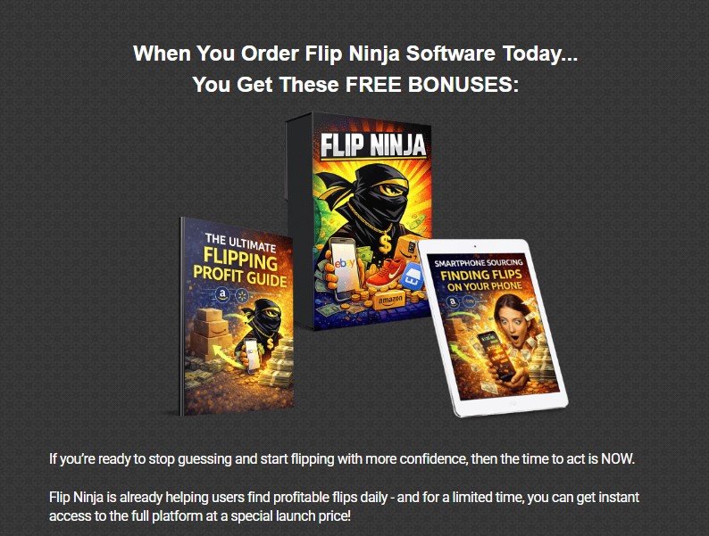 Flip Ninja Review