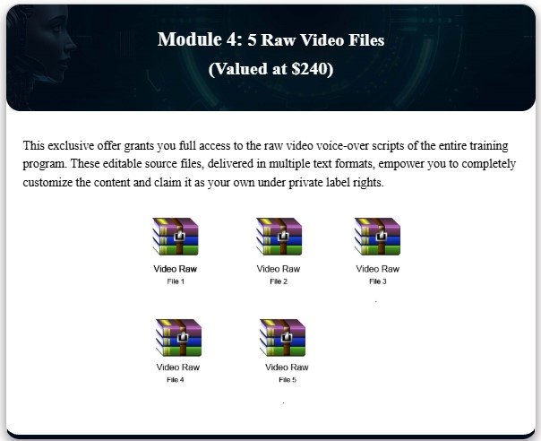 AI Prompt Engineering Mastery With PLR Review
