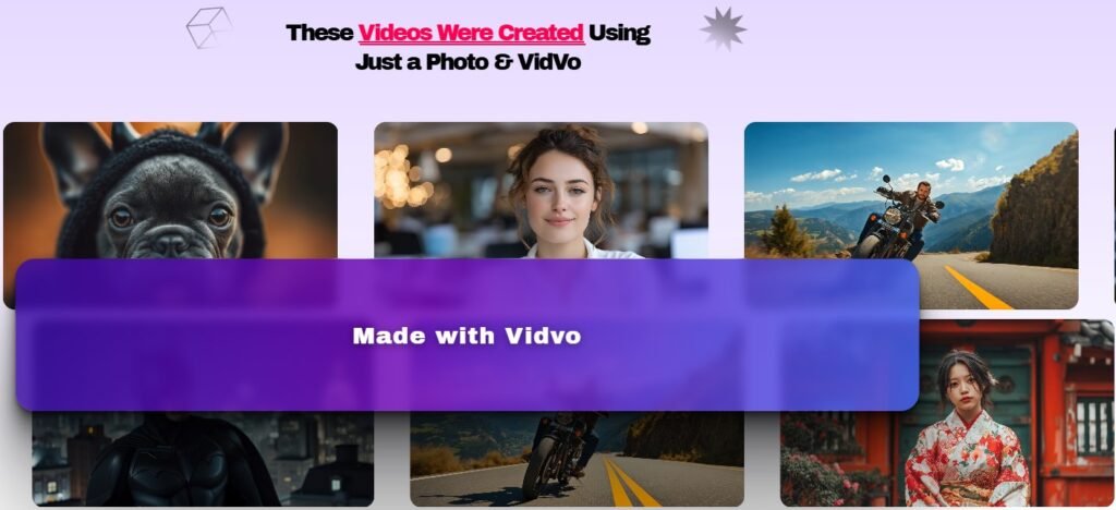 Vidvo Review