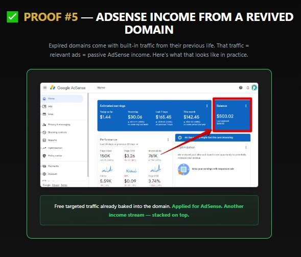 Buried Profits AI Review