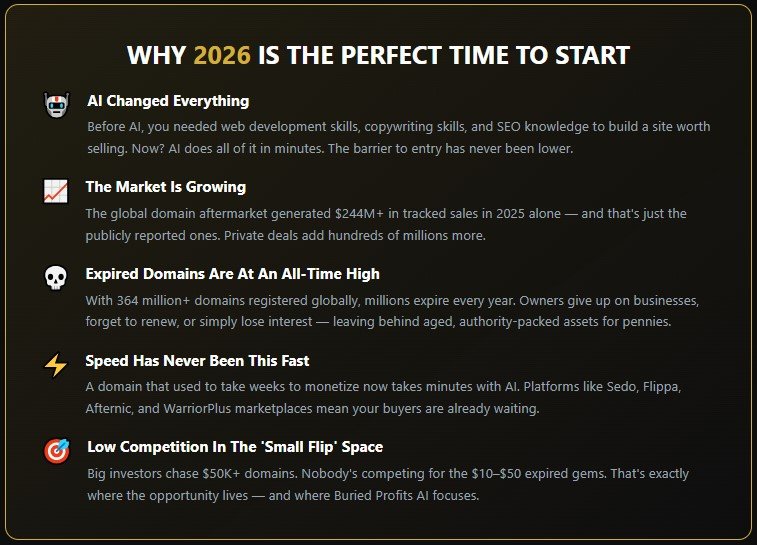 Buried Profits AI Review