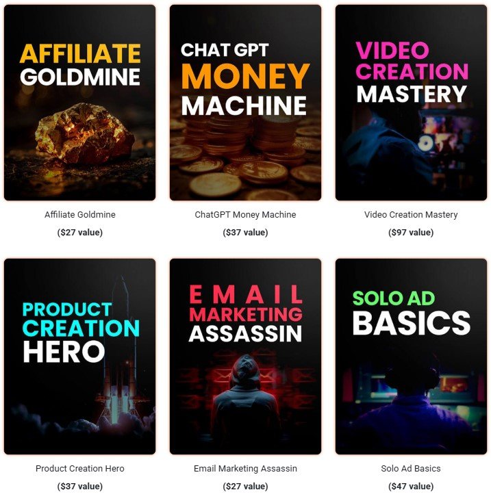 PLR Mega Vault Review