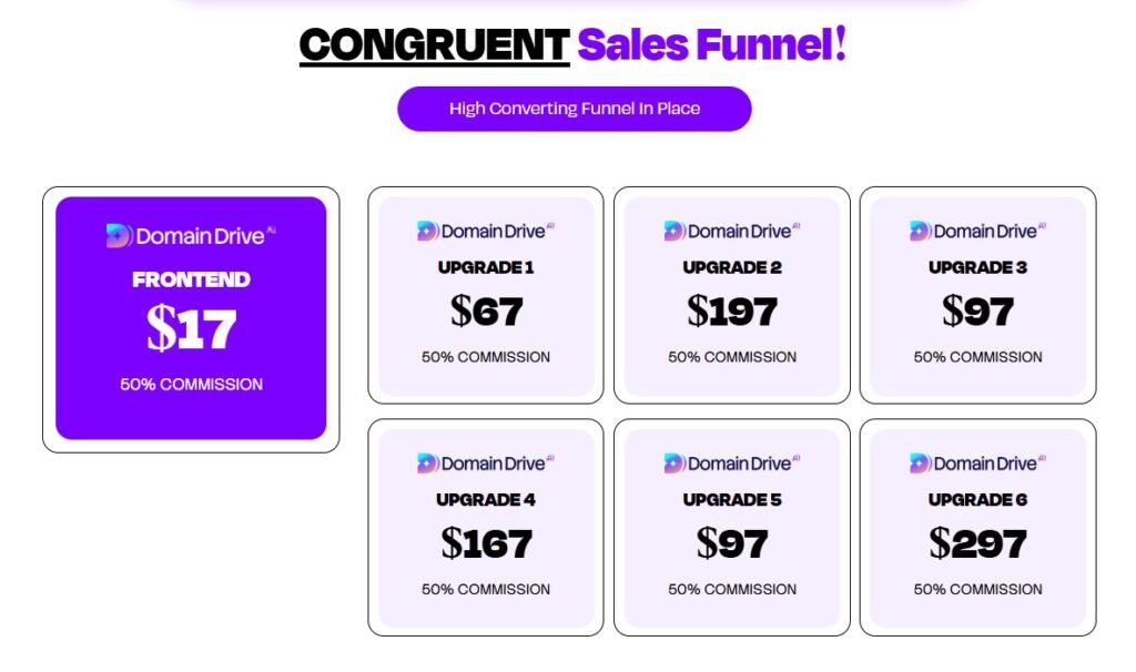 Domain Drive AI Review