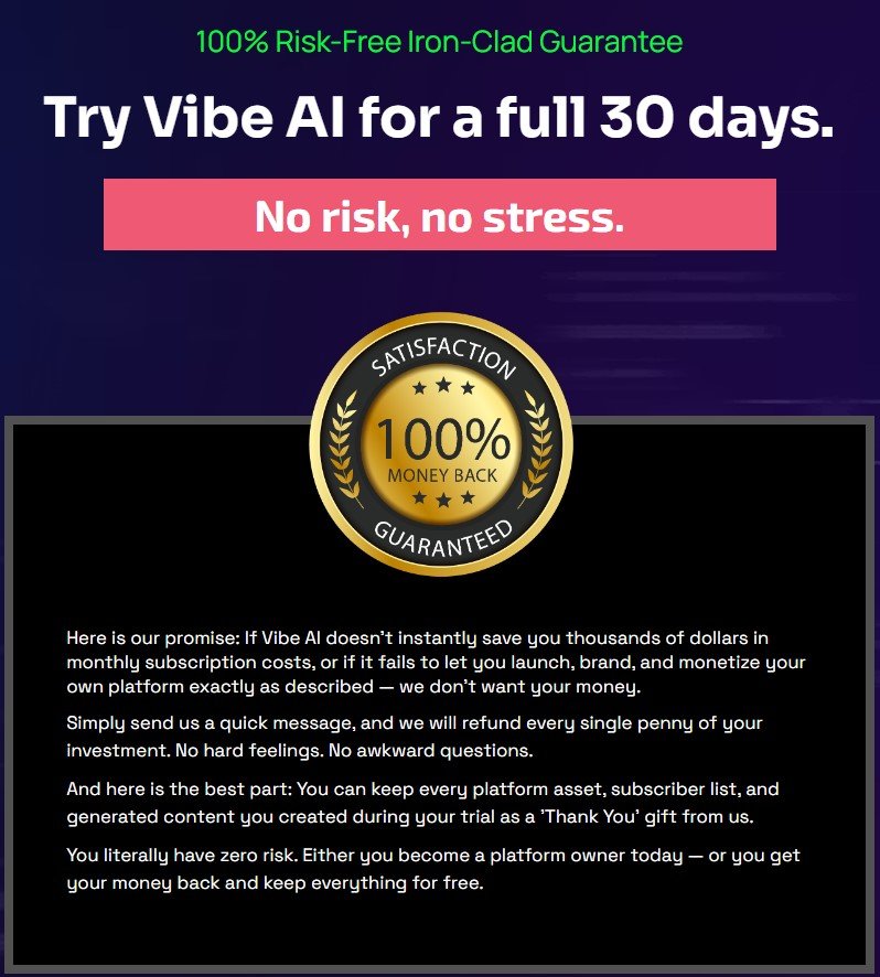 Vibe AI Review