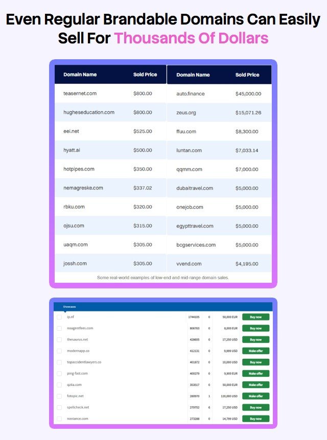 Domain Drive AI Review