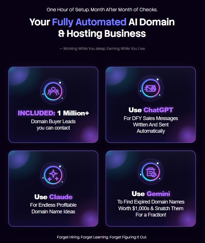 Domain Drive AI Review
