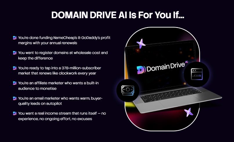 Domain Drive AI Review
