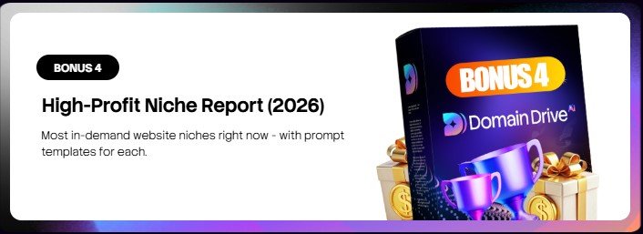 Domain Drive AI Review