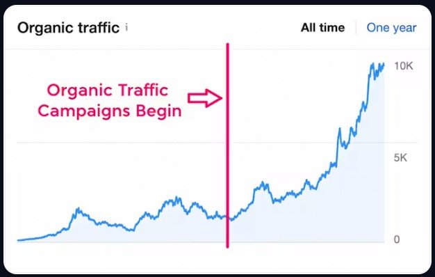 1-Hour AI Traffic Machine Review