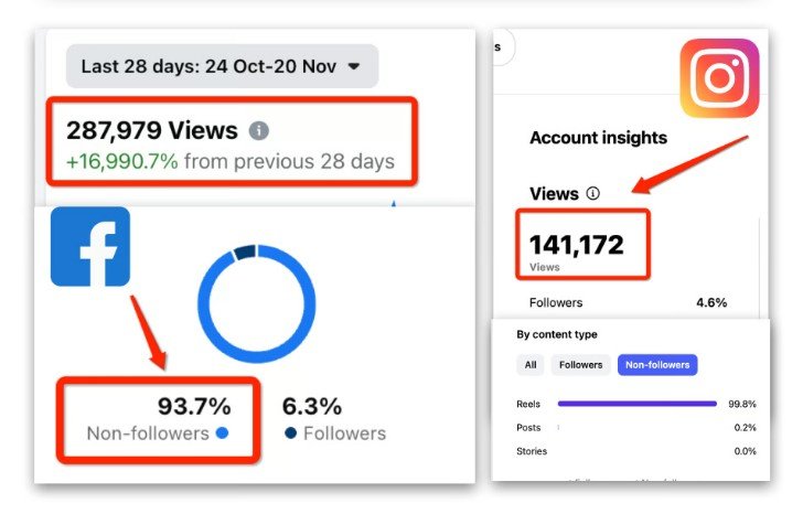 ViroFeed AI Review