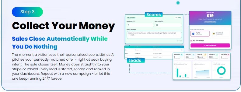 Litmus AI Review